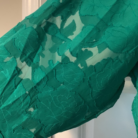 NWOT green semi-sheer blouse - Picture 3 of 5